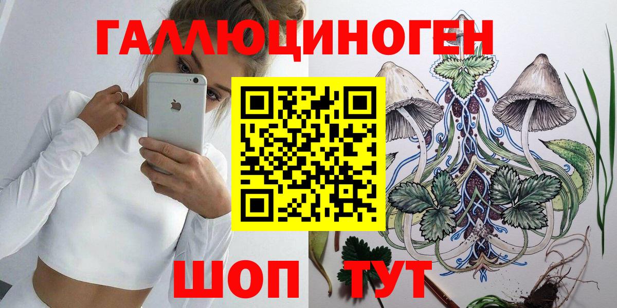 Псилоцибиновые грибы Psilocybine cubensis  Вход с VPN  Реутов 